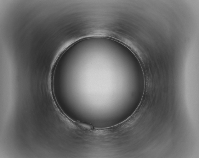 X0000111631480200907171517