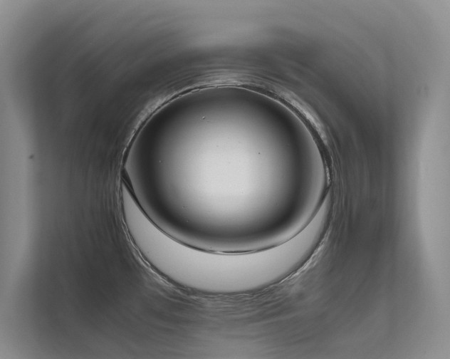 X0000111631481200907171517