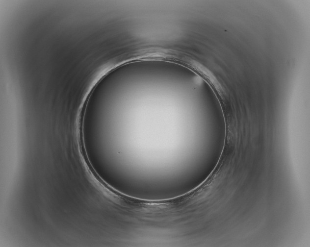 X0000111631483200907171517