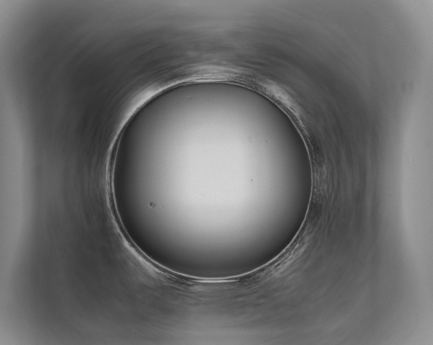 X0000111631487200907171517