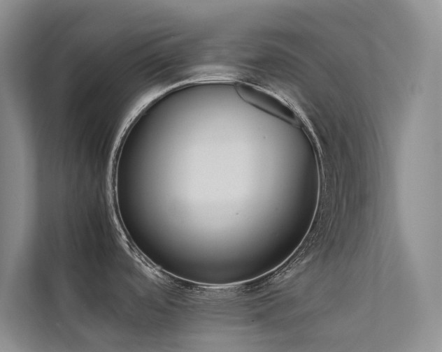 X0000111631488200907171517