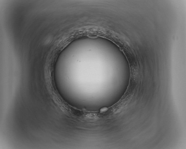 X0000111631489200907171516
