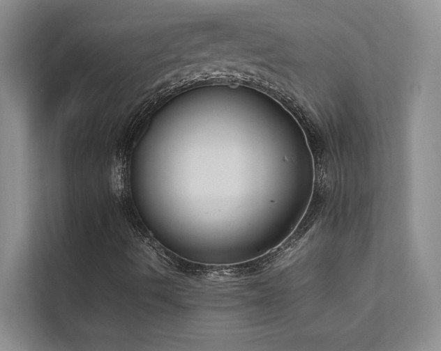 X0000111631490200907171516