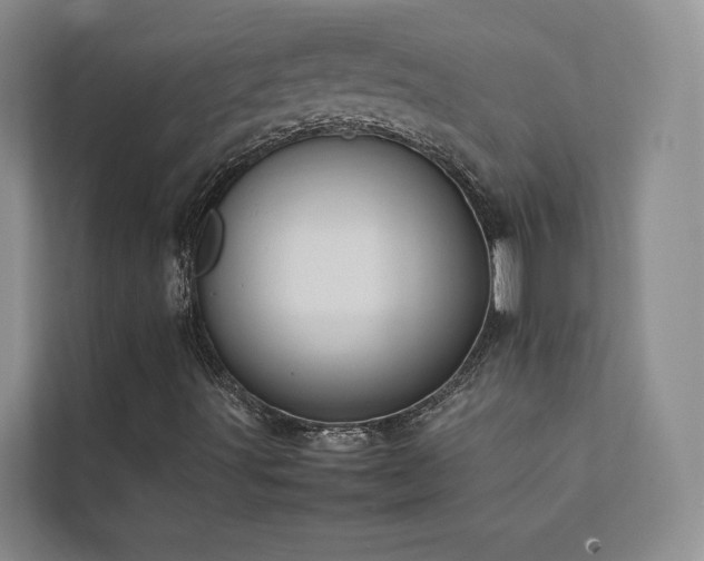 X0000111631491200907171516