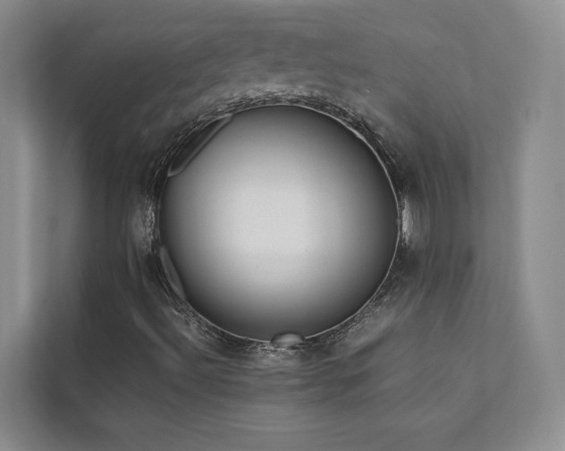 X0000111631492200907171516