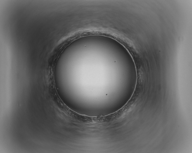 X0000111631494200907171516