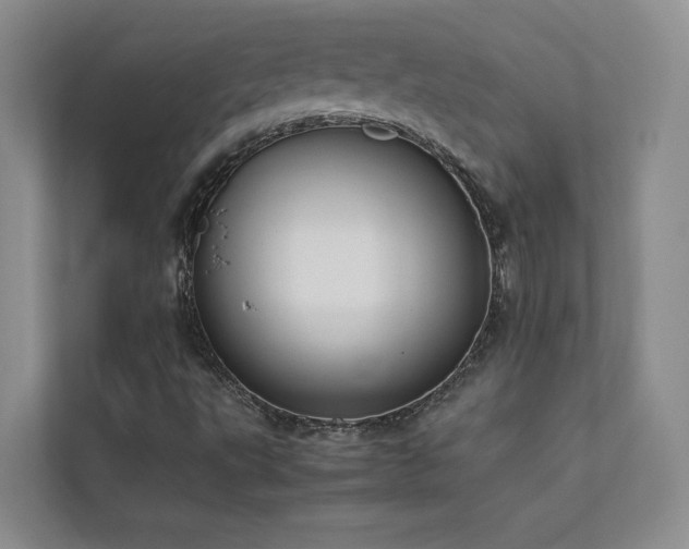 X0000111631495200907171516