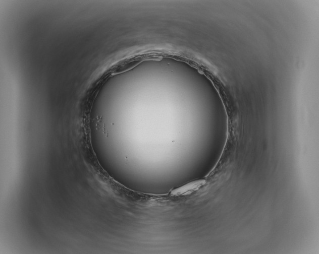X0000111631496200907171516