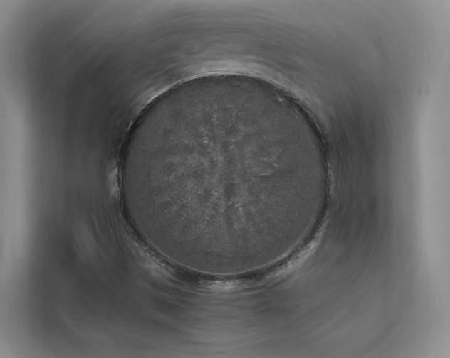 X0000111631497200907171516