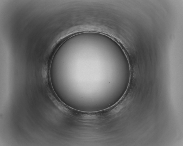 X0000111631499200907171516