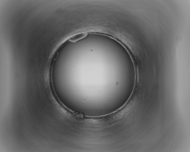 X0000111631500200907171516