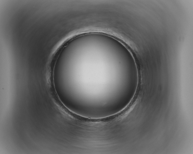 X0000111631502200907171516