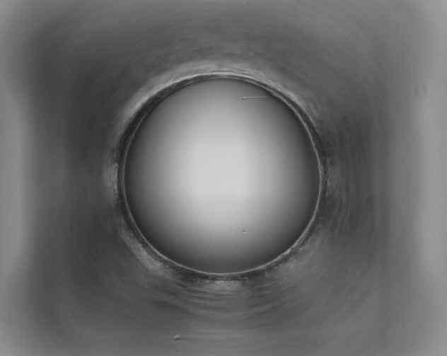 X0000111631503200907171516