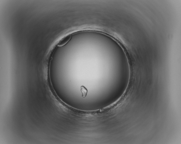 X0000111631504200907171516