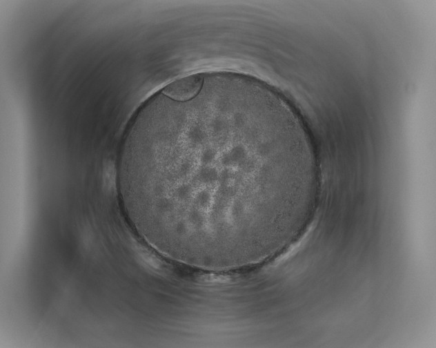 X0000111631505200907171516