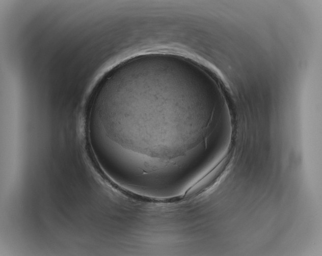 X0000111631506200907171516