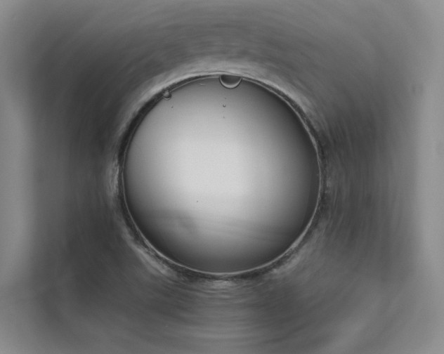 X0000111631507200907171516
