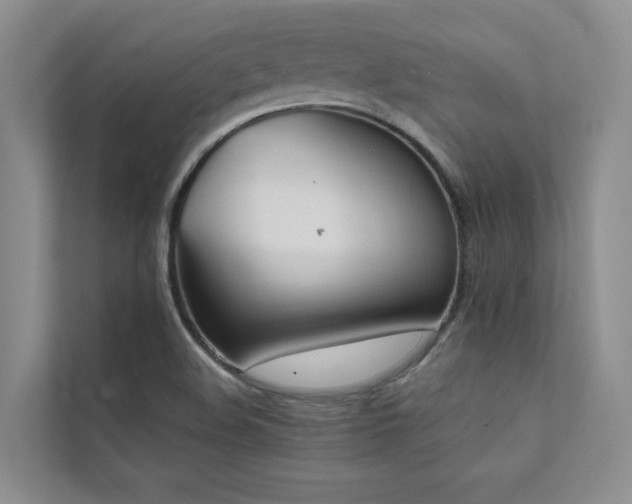 X0000111631508200907171516