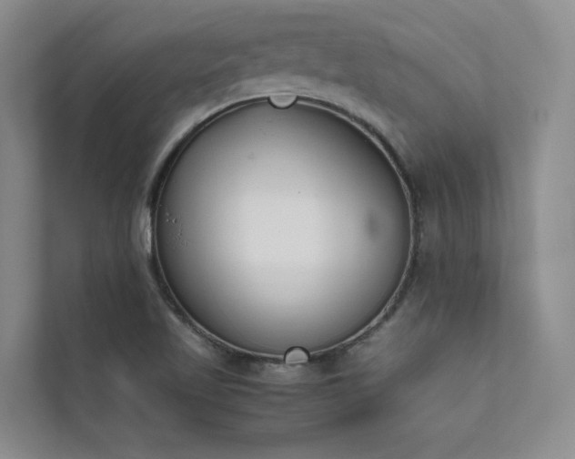 X0000111631509200907171516