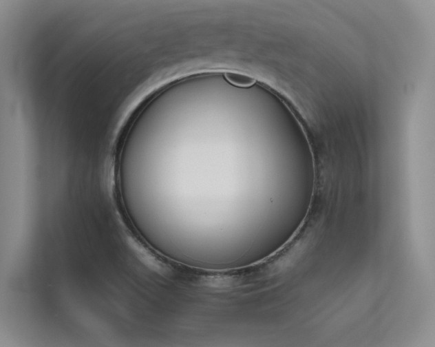 X0000111631511200907171516