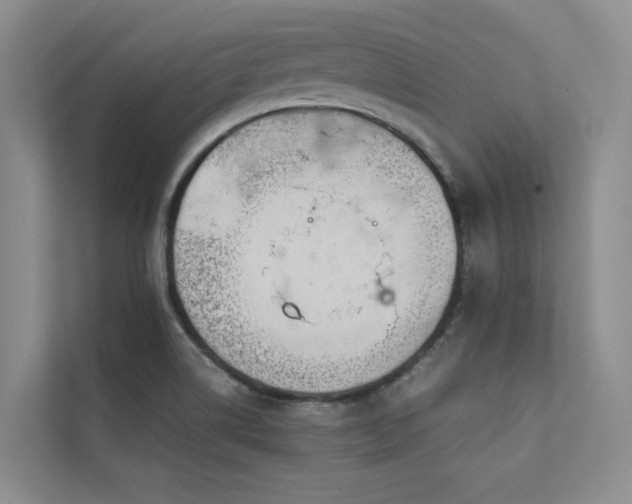 X0000111631514200907171516