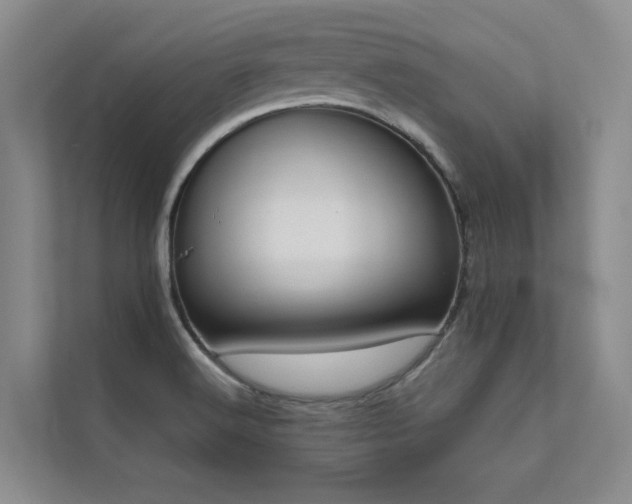 X0000111631516200907171516
