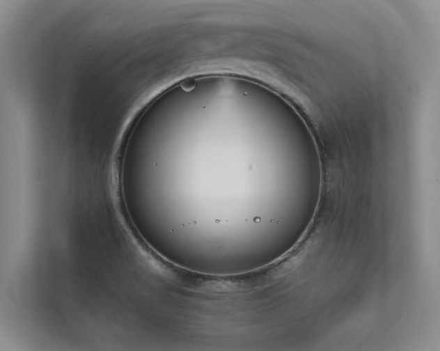 X0000111631517200907171516