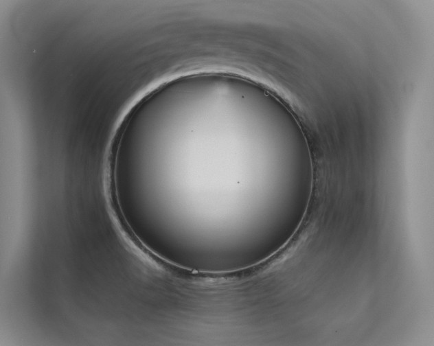 X0000111631518200907171516