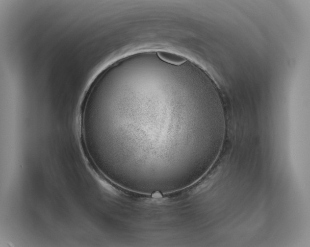 X0000111631519200907171516