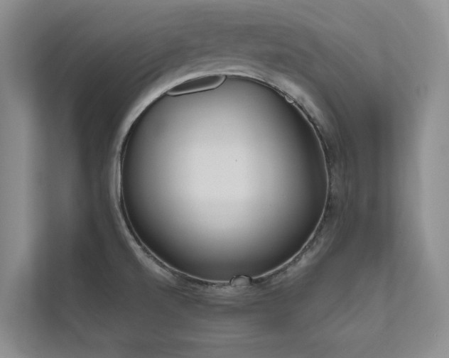 X0000111631520200907171516
