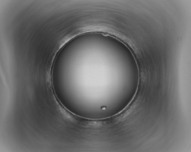 X0000111631521200907171516