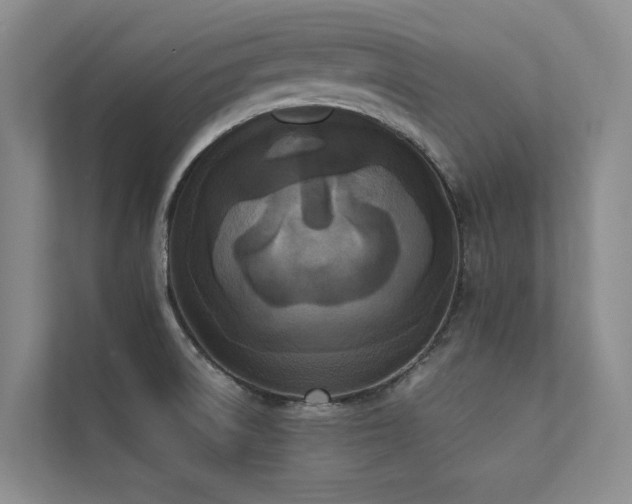 X0000111631522200907171516