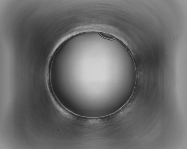 X0000111631523200907171516