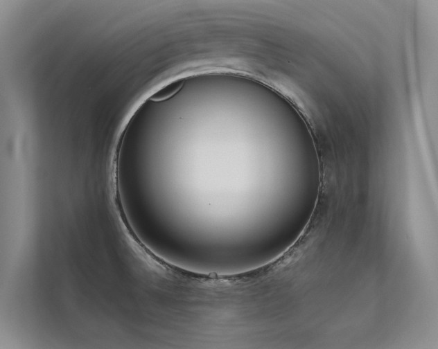 X0000111631524200907171516