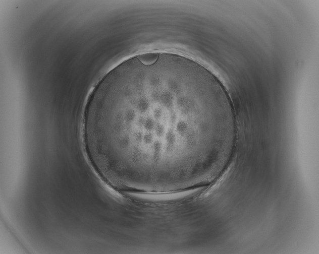 X0000111631525200907171516