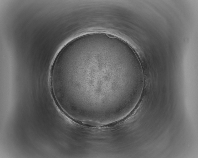 X0000111631527200907171516