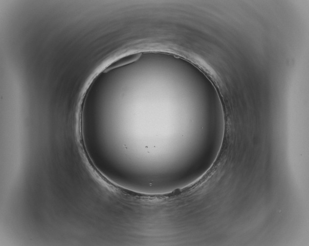 X0000111631528200907171516