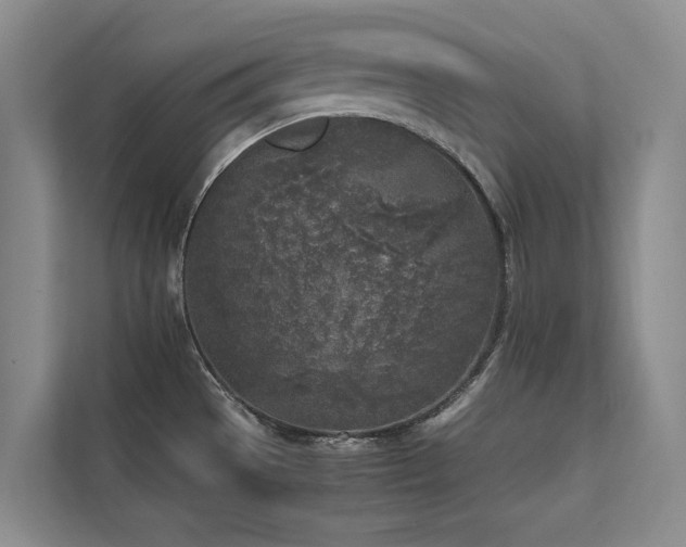 X0000111631529200907171516