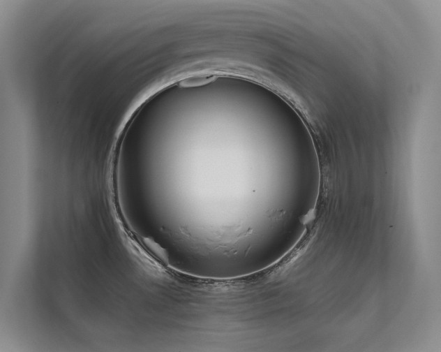 X0000111631530200907171516