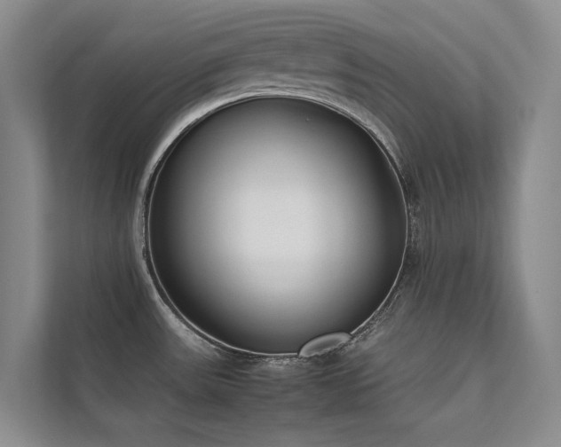 X0000111631531200907171516