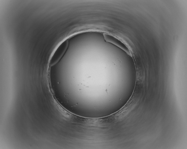 X0000111631532200907171516