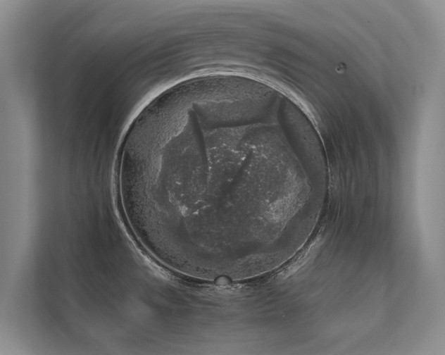 X0000111631533200907171516