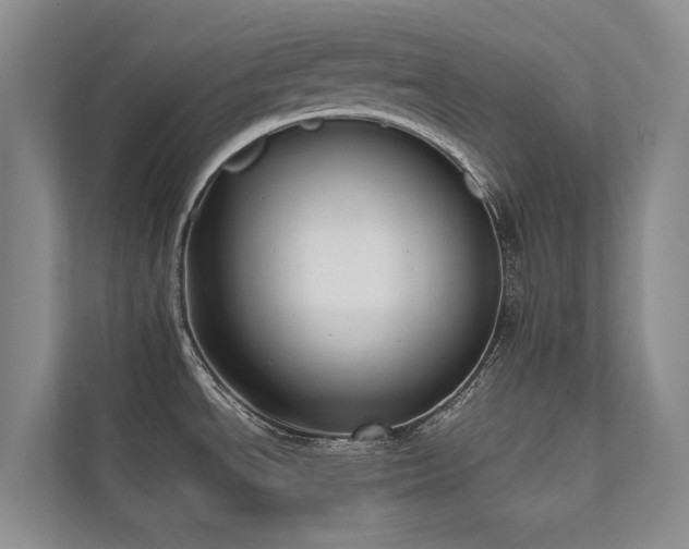 X0000111631534200907171516
