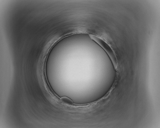 X0000111630001200907241100