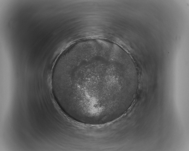 X0000111630002200907241100