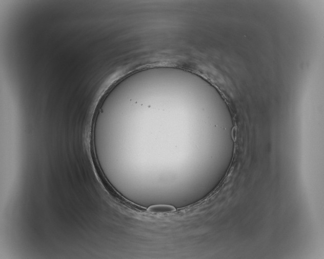 X0000111630003200907241100