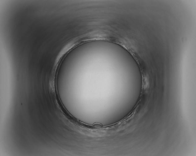 X0000111630004200907241100