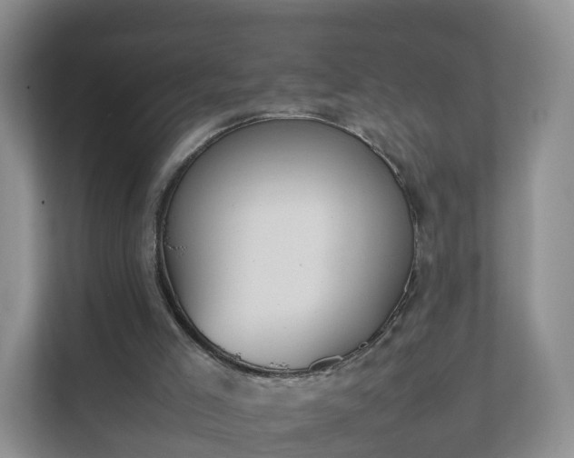 X0000111630005200907241100