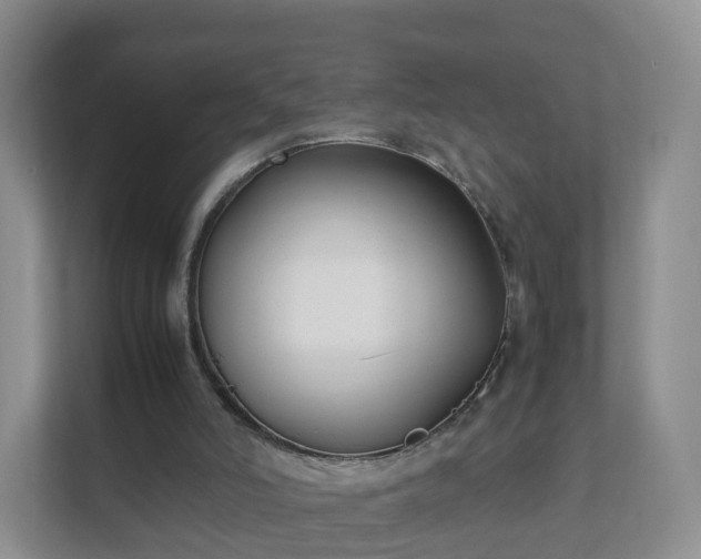 X0000111630006200907241100