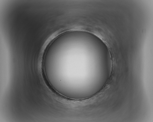 X0000111630007200907241100